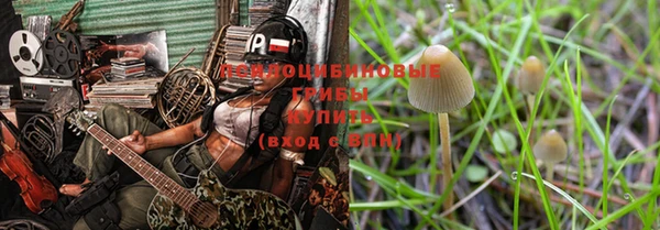 метадон Губаха