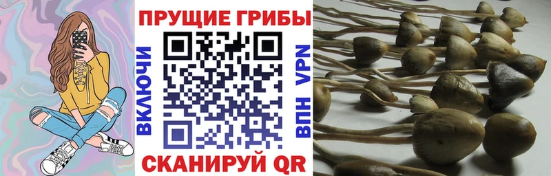 Галлюциногенные грибы ЛСД  Верхняя Салда 