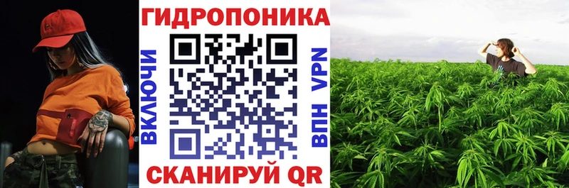 купить   Верхняя Салда  Бошки марихуана VHQ 